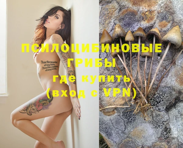 дмт Белоозёрский