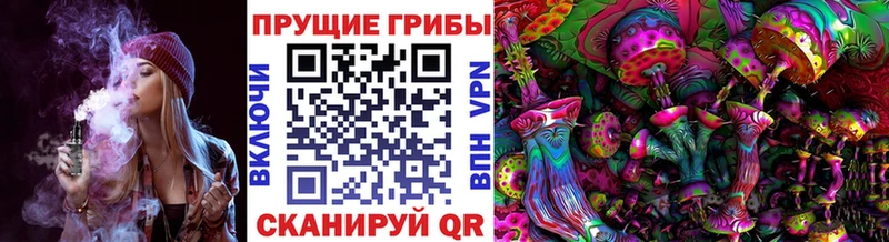 Галлюциногенные грибы Magic Shrooms  Михайлов 